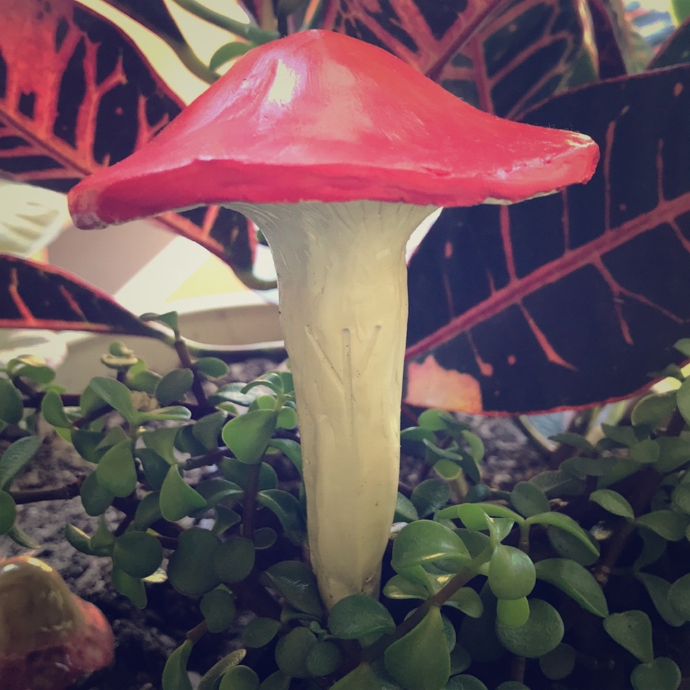 MUSHROOM 🍄 GARDEN STAKE TALISMAN ALGIZ RUNE ✨ - Picture 7 of 16